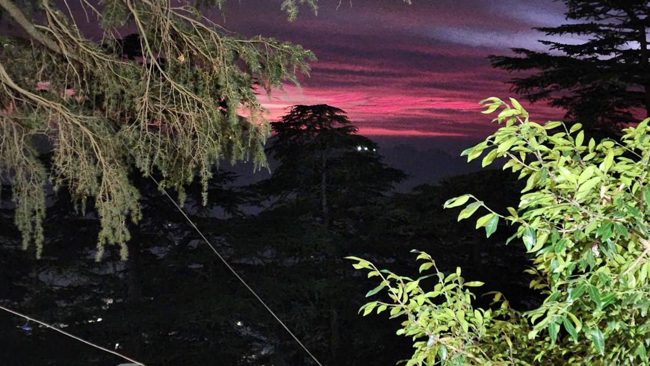 Glen View Heritage Homestay Shimla Exterior foto
